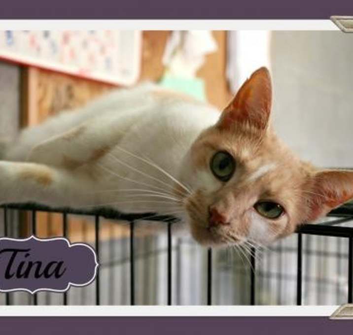 Photo of Tina