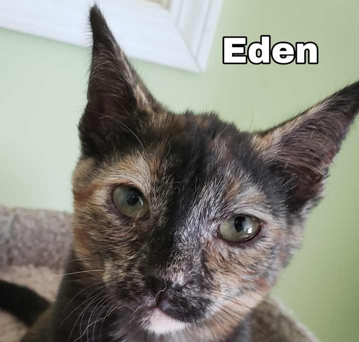 Photo of "  Eden  "