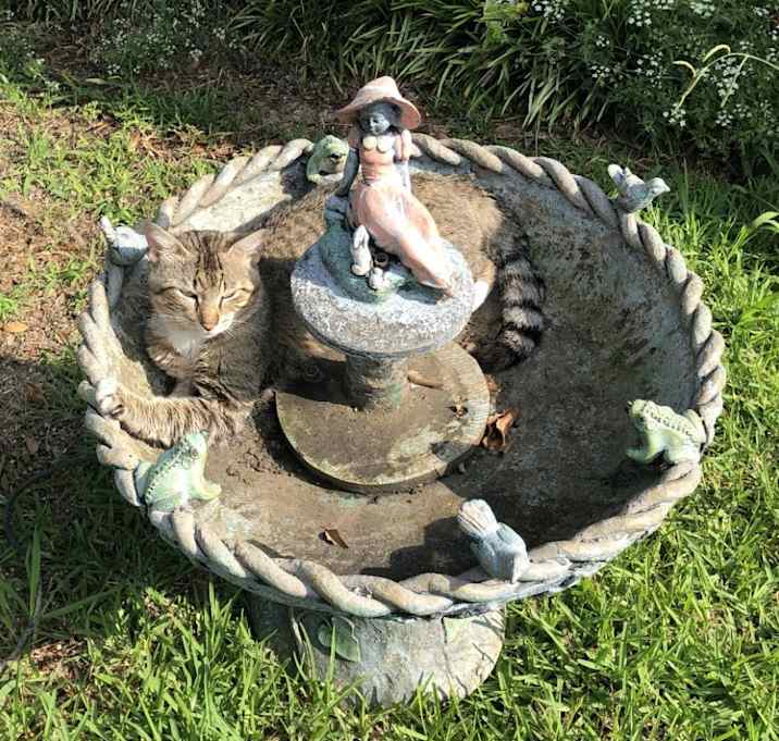 Photo of Lola aka Niño