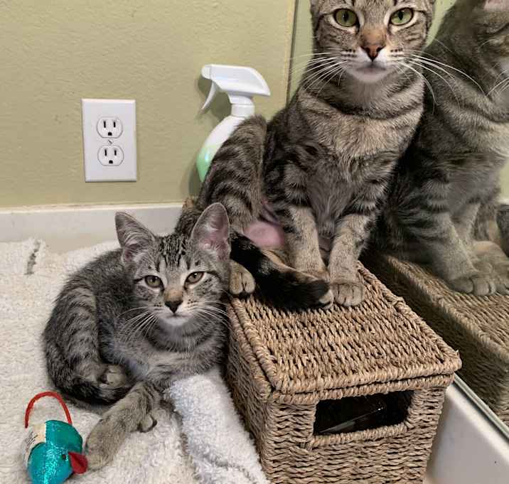 Photo of Wilma n Betty