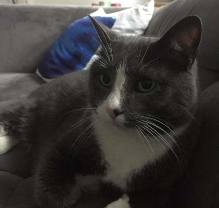 Photo of Baby and Missy Young NYC Seniors