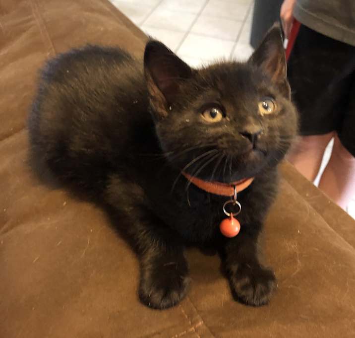 Photo of Orange - boy