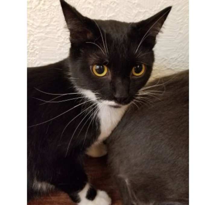 Photo of Greenie/Baby Girl