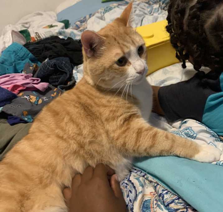 Photo of Clumsy & Duke