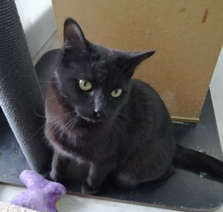 Photo of William (+Portobello)