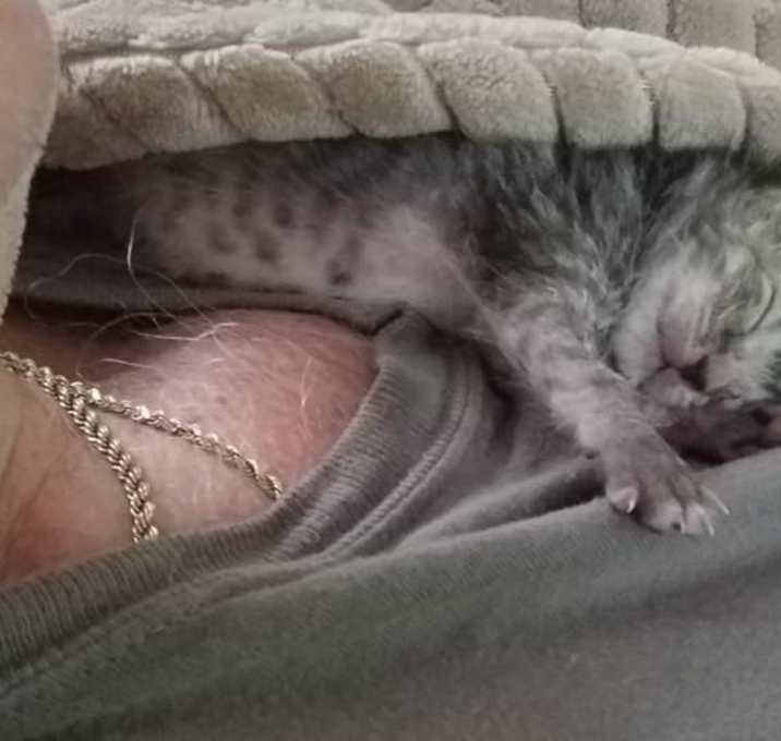 Photo of Foster Care Preview