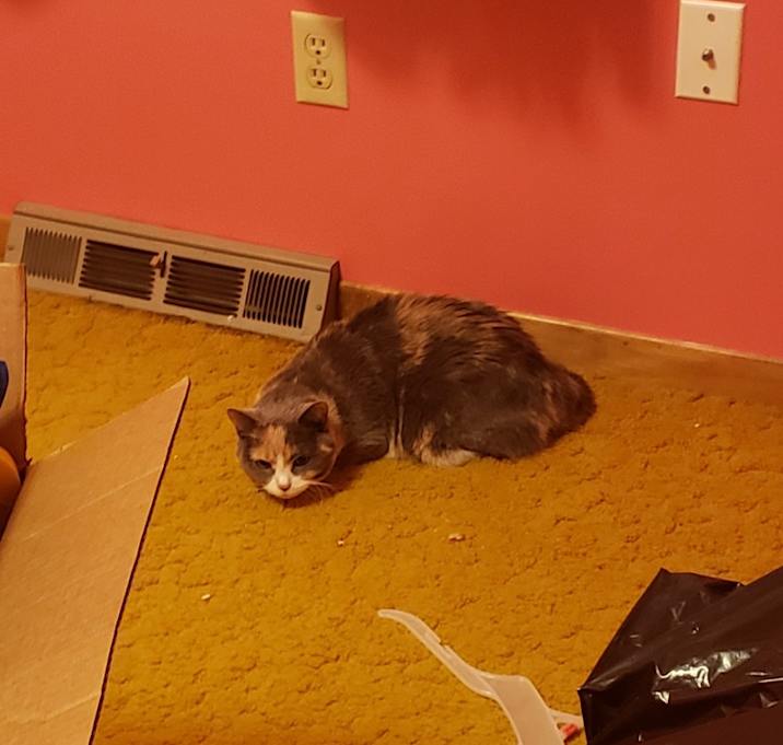 Photo of Little Girl 