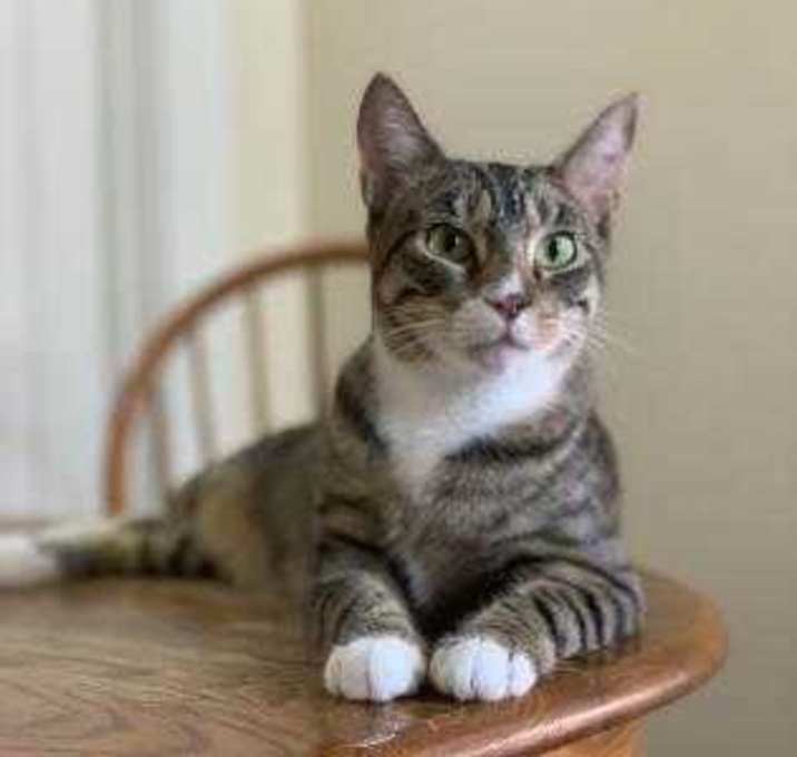 Photo of Claudia IN FOSTER