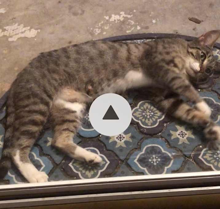 Photo of Little Mama