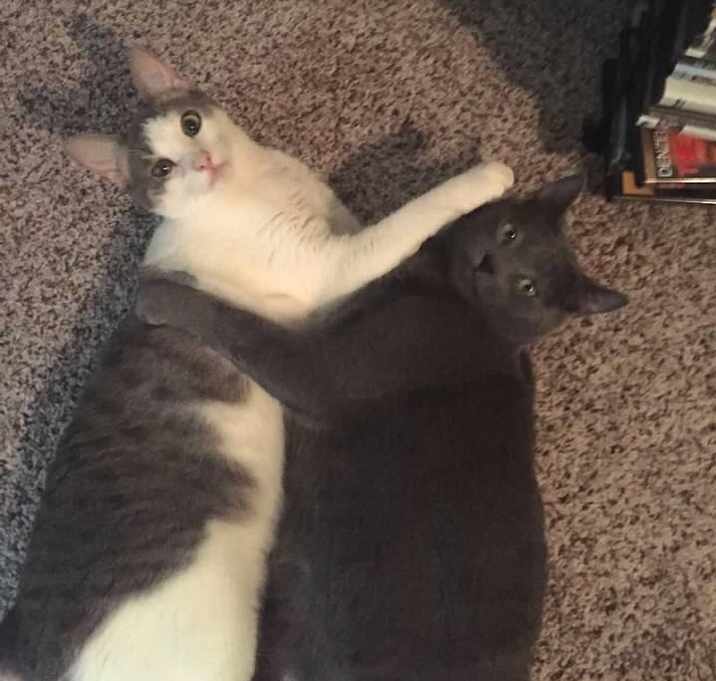 Photo of Solo and Molly