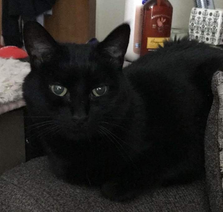 Photo of Billie Jean