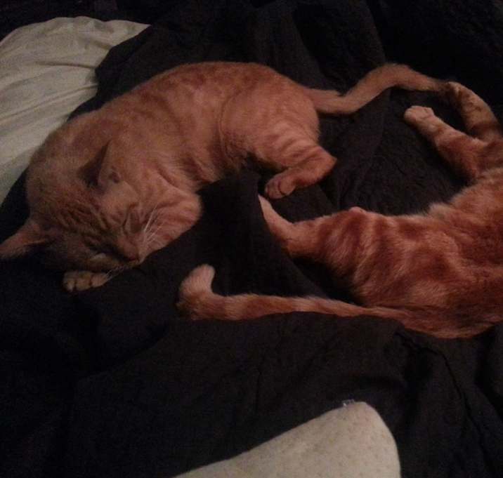 Photo of Asher & Sunny