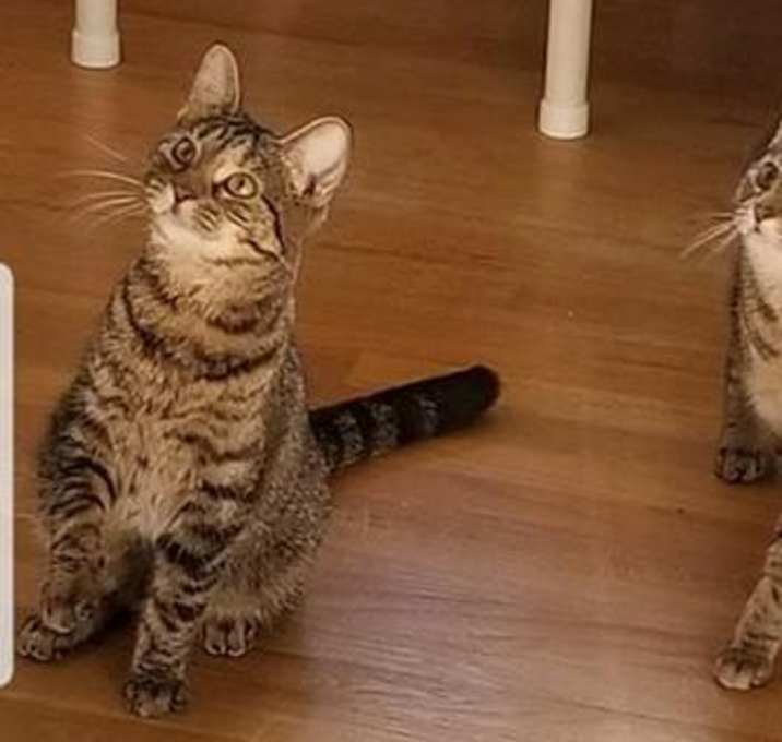 Photo of Gracie & Lucie