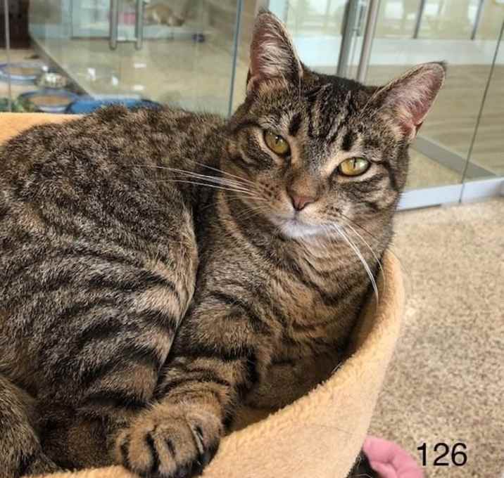 Photo of C19-126 Baby