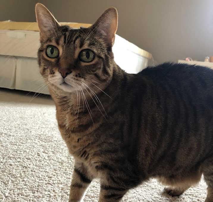 Photo of Angel & Moses