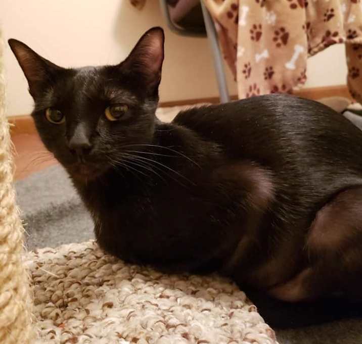 Photo of Missy Elliott