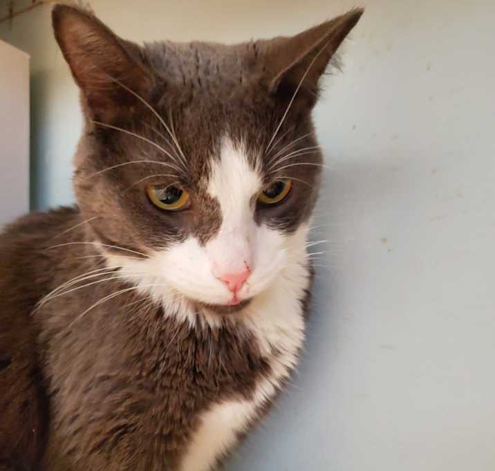 Photo of Fannie Arizona