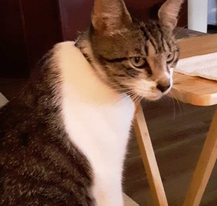 Photo of "Lucky" Charms