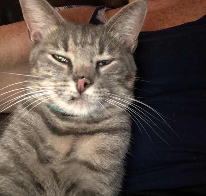 Photo of Bobby McGee