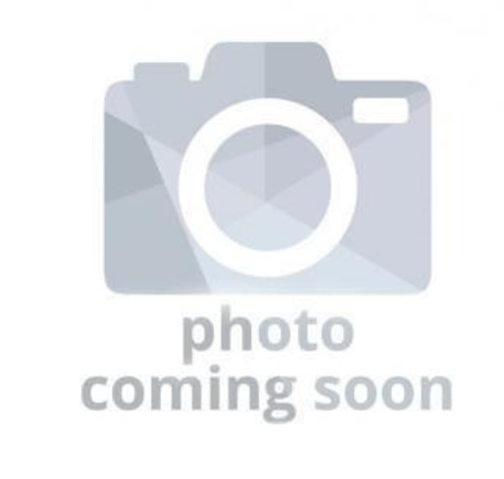 Photo of Mopsey 2 (Special Needs)