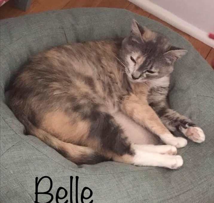Photo of Belle