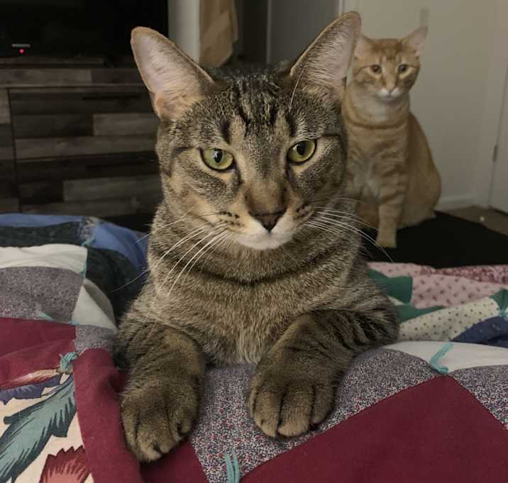 Photo of Simon & Sawyer