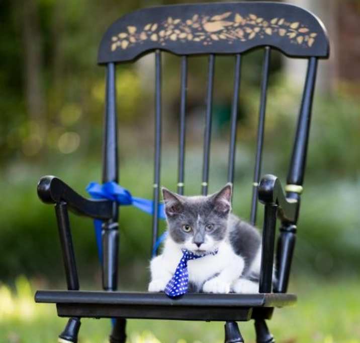 Photo of Blynken and Wynken