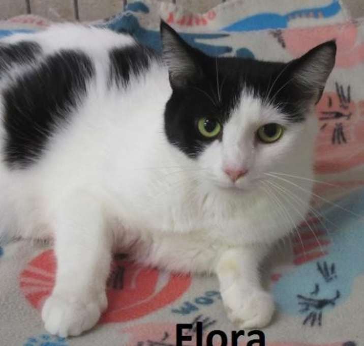 Photo of Flora