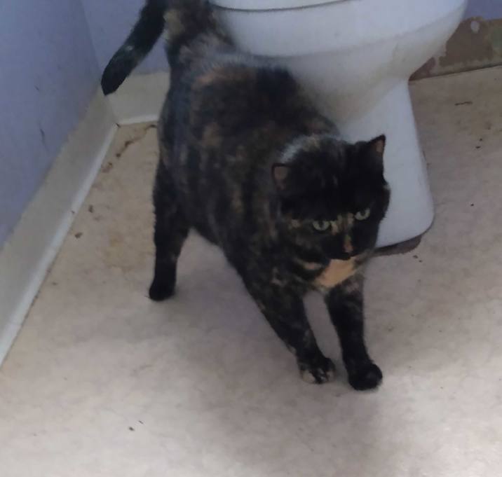 Photo of Melly-fosteted