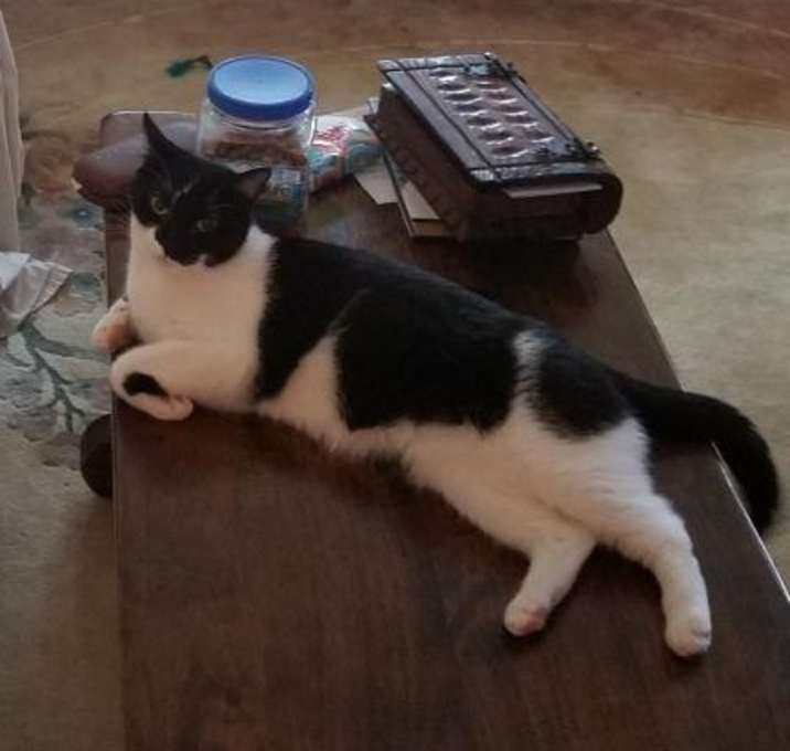 Photo of A Courtesy post-Peanut