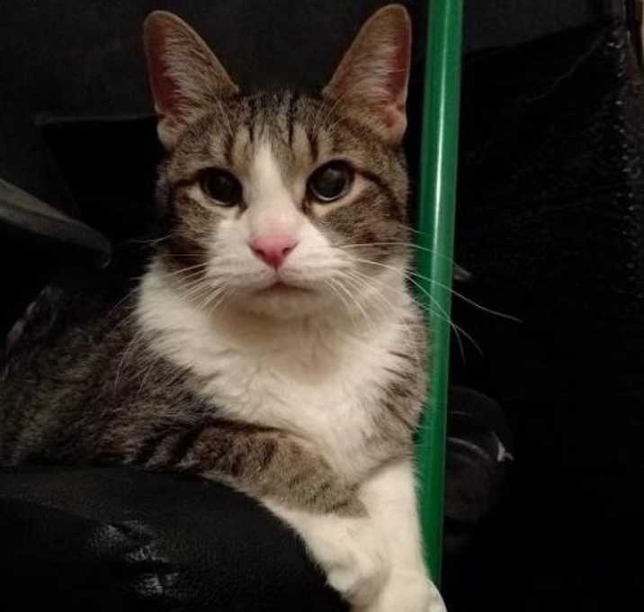 Photo of Oliver 2016