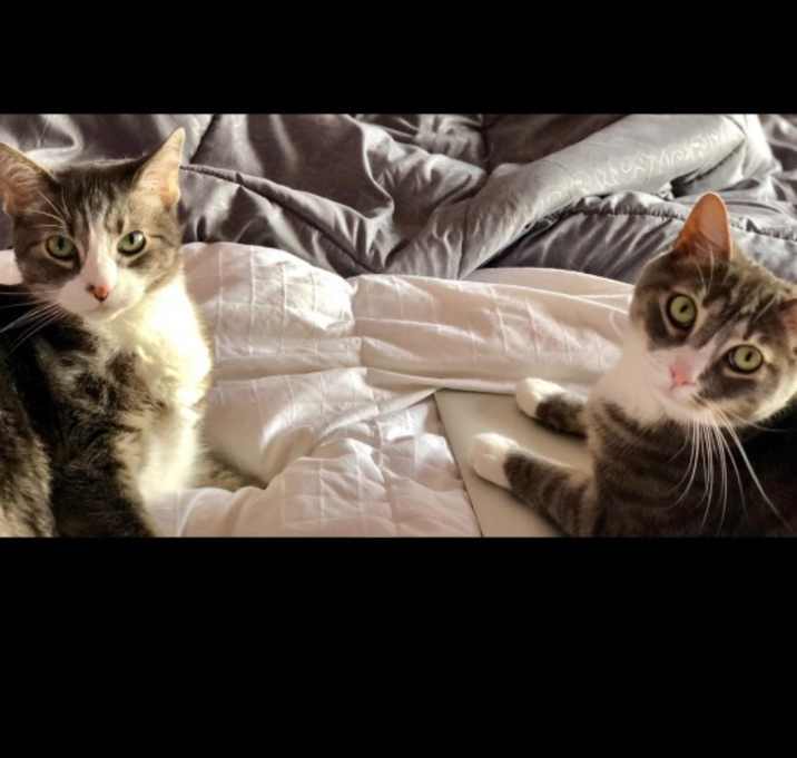 Photo of Biggie & Mowgli