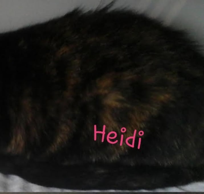 Photo of Heidi