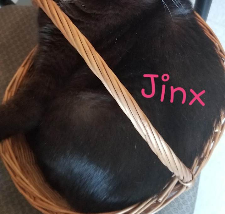 Photo of Jinx