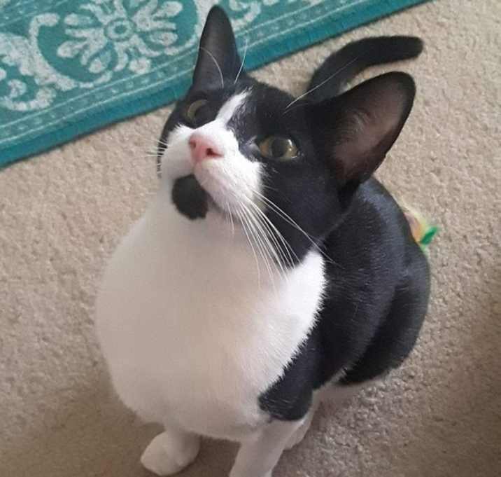 Photo of Max (Has Application)