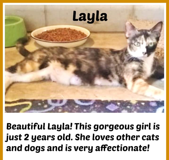 Photo of LAYLA