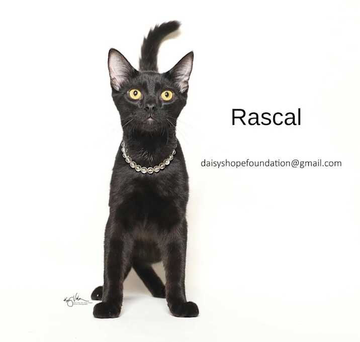 Photo of RASCAL