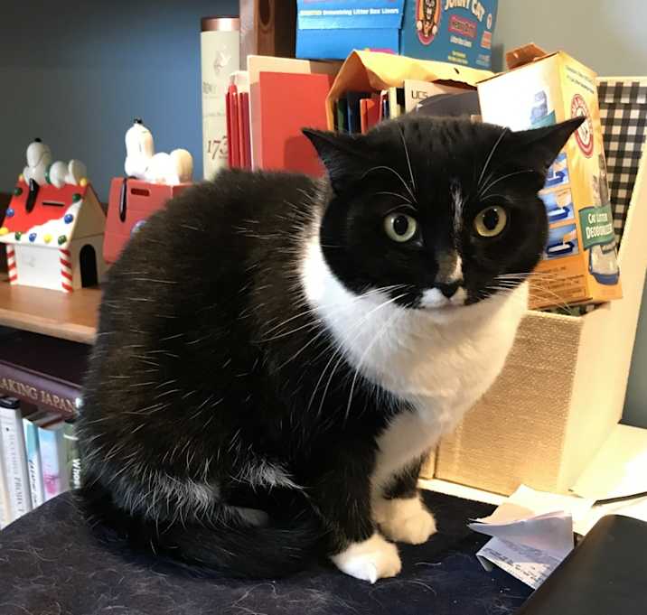 Photo of Miss Pepper