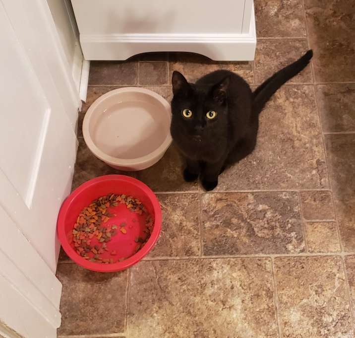 Photo of Joker and Harley