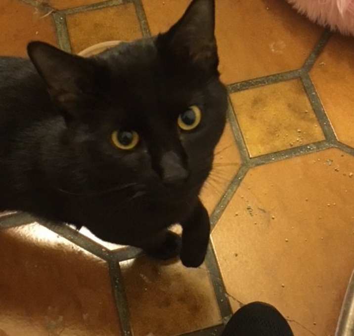 Photo of Has no name