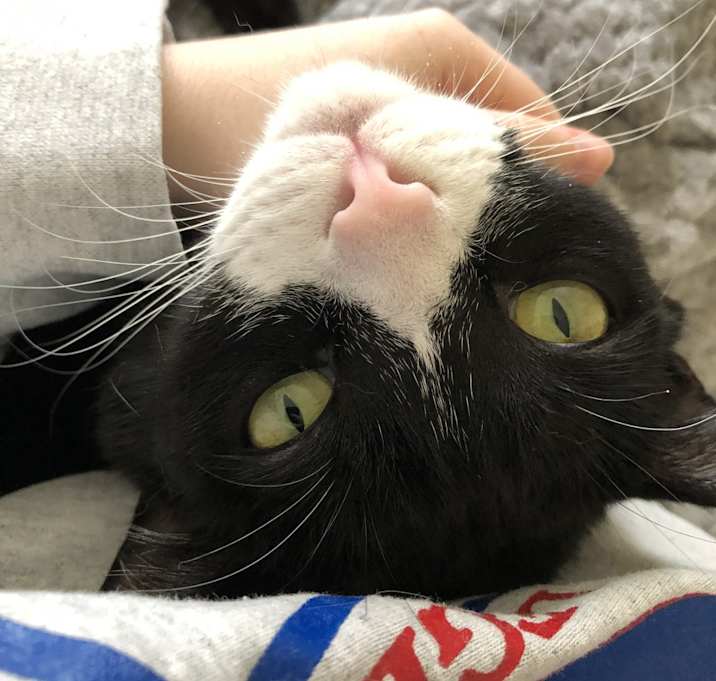 Photo of Oskar and Felix