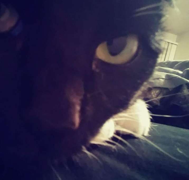 Photo of Charlie Rose