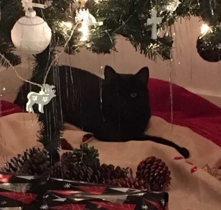 Photo of Lazarus and Magdalene 