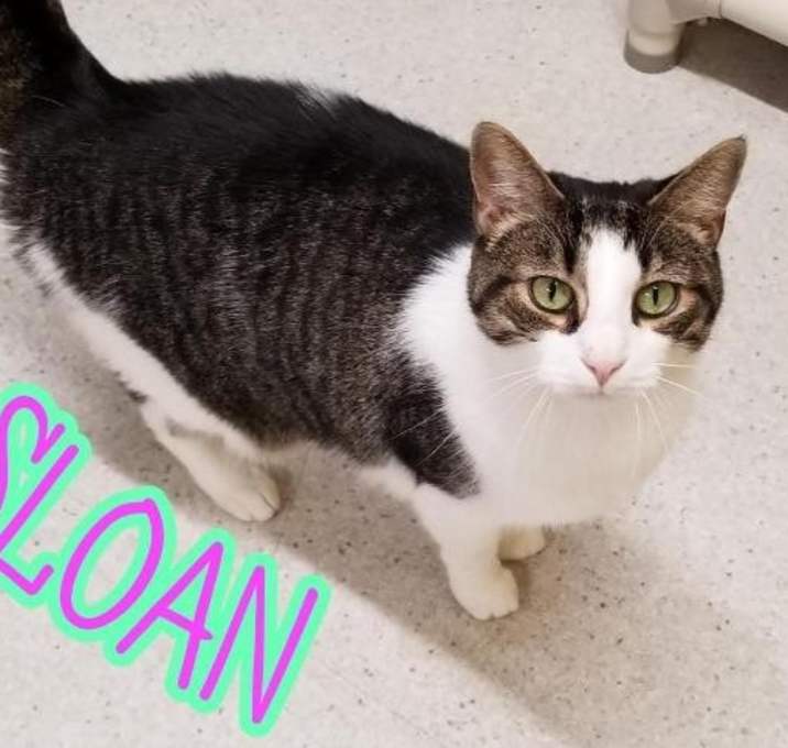 Photo of Sloan