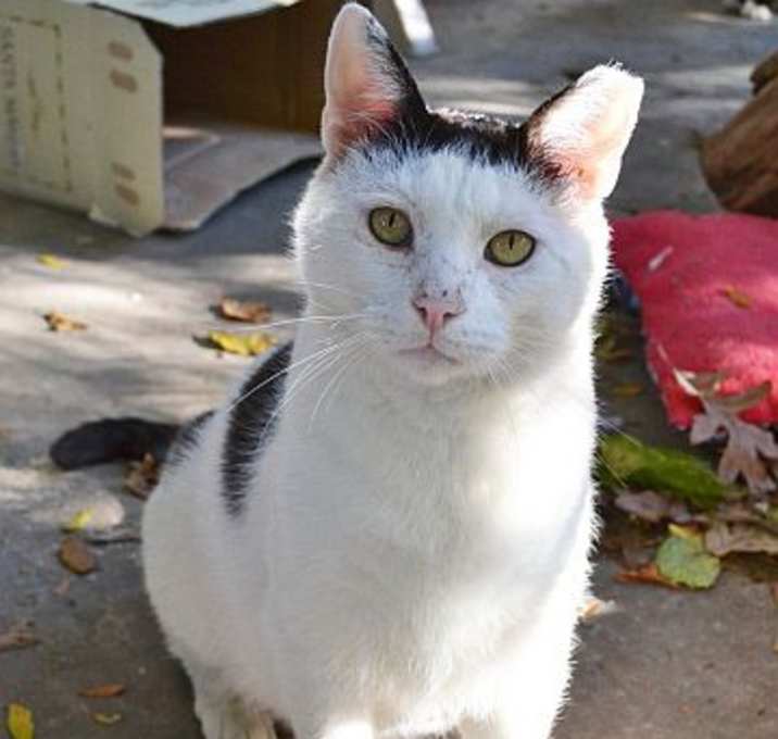 Photo of Buddy Oxford