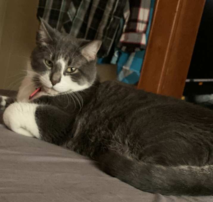 Photo of Andrew and Carl