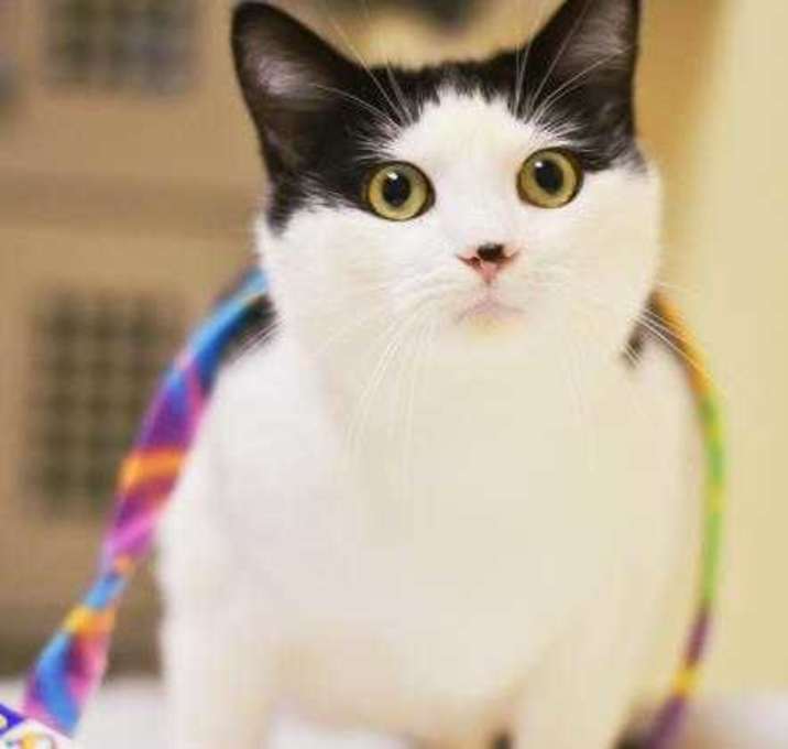 Photo of Peppermint Patty