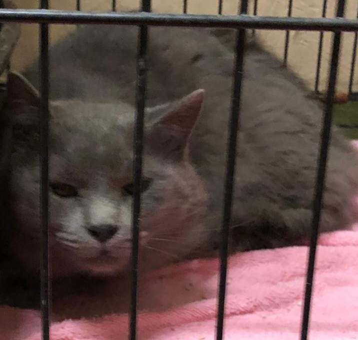 Photo of Yerik -  Fixed and Fab