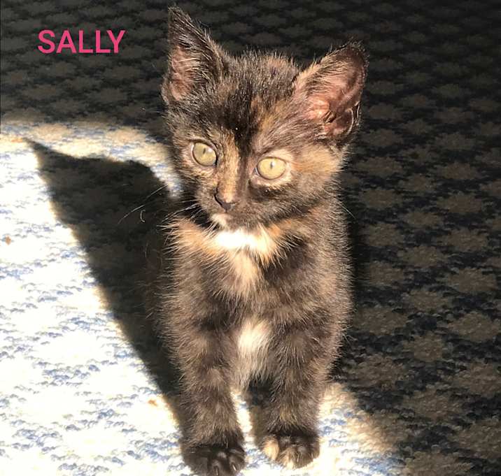 Photo of Sally