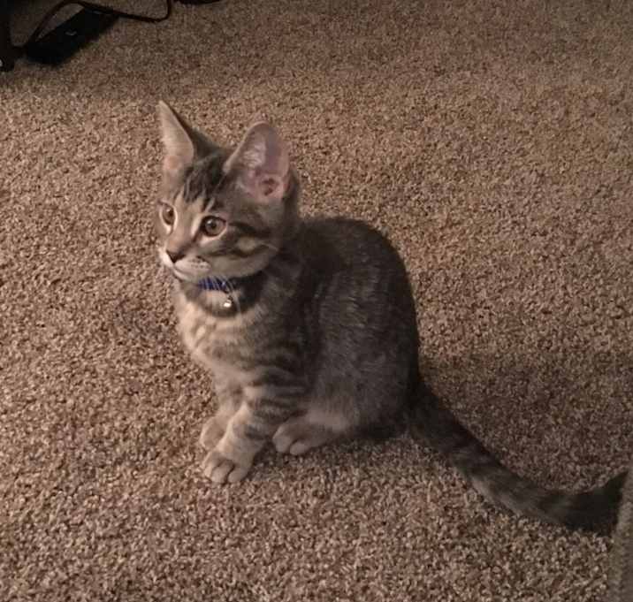 Photo of Ashton & Smokey